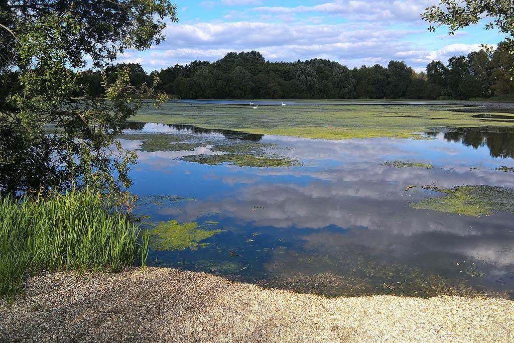 conningbrook lake diffused aeration system and mixing system