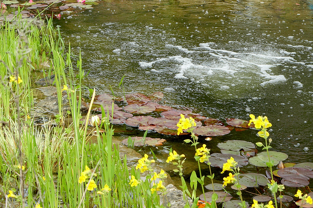 water aeration process