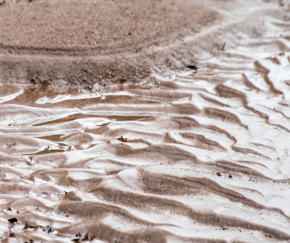 silt in water