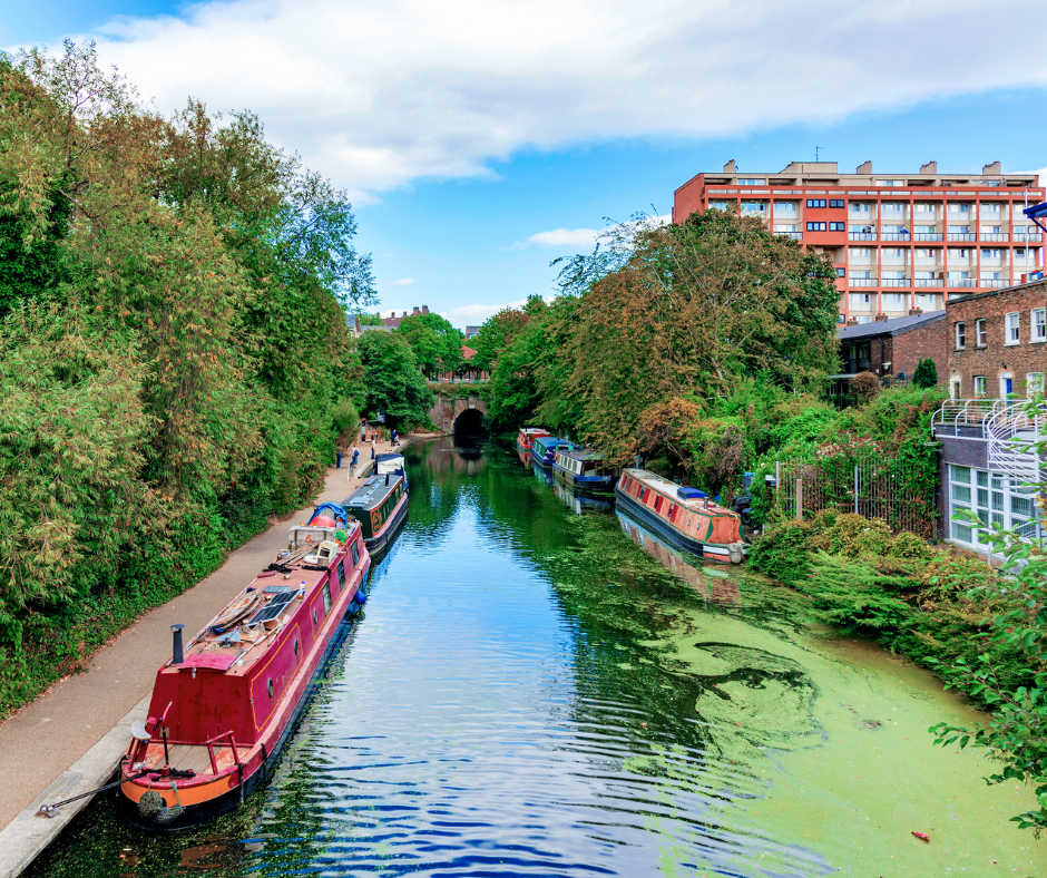 duckweed and algae in canals