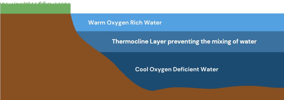 thermal stratification