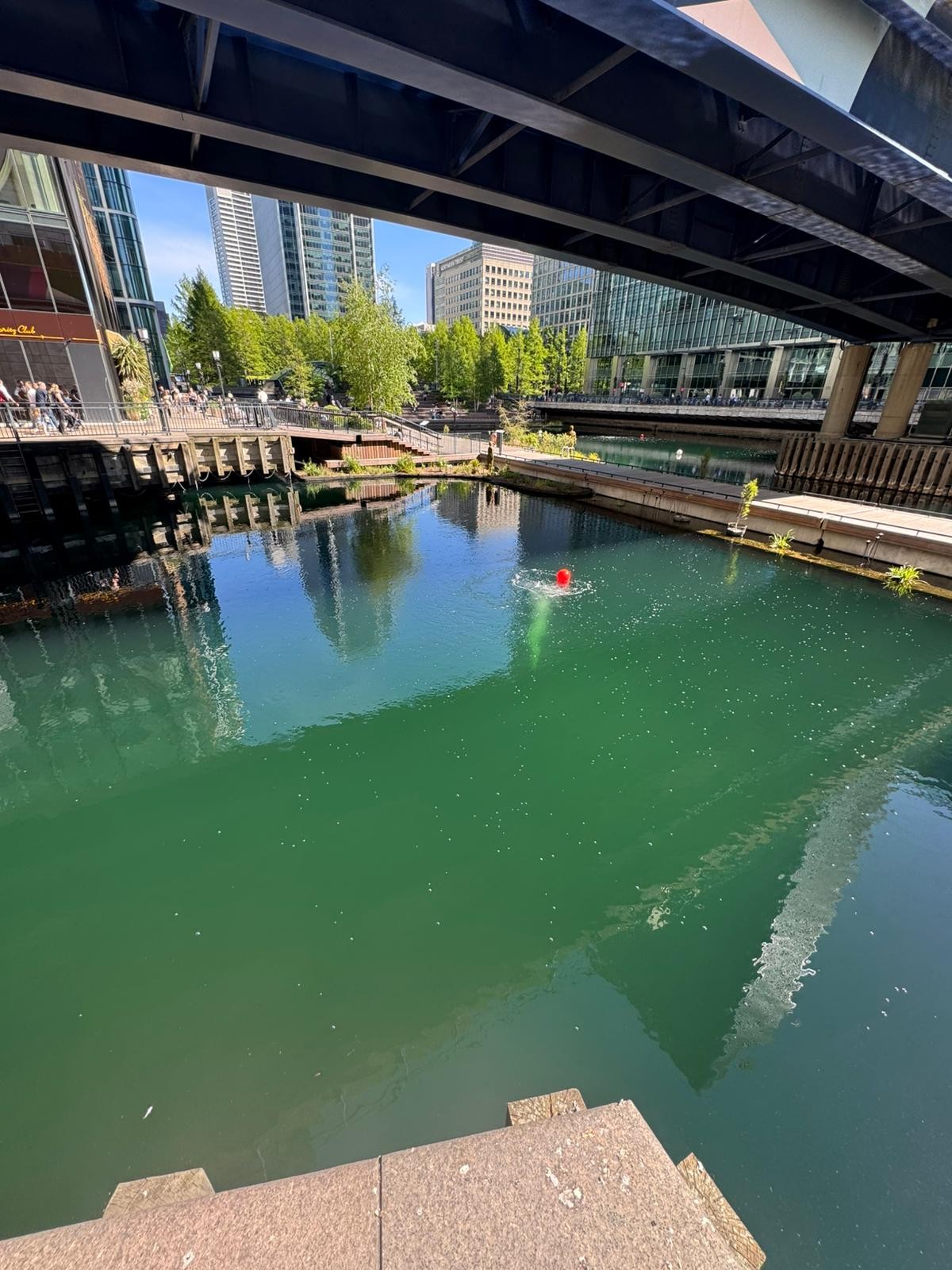 Urban canal scene beneath a bridge, with modern glass buildings, a tree-lined promenade, and a red buoy on green water.