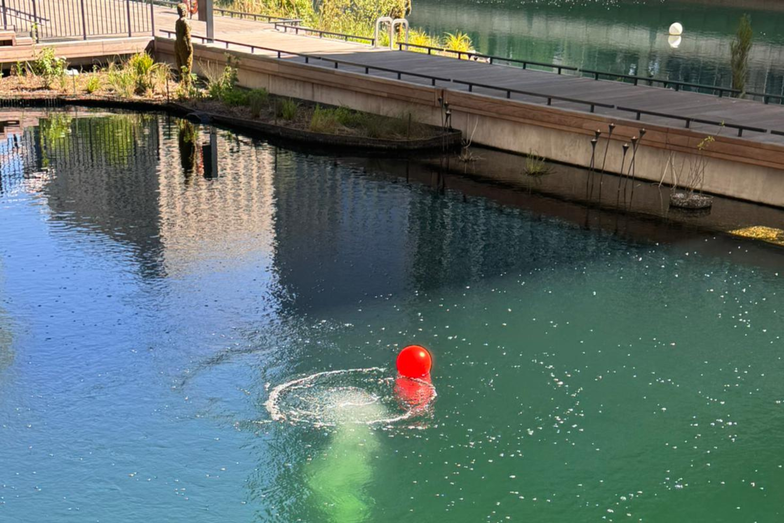 Red buoy floats in a turquoise pool, creating ripples near a concrete deck and boardwalk nearby in a park setting.